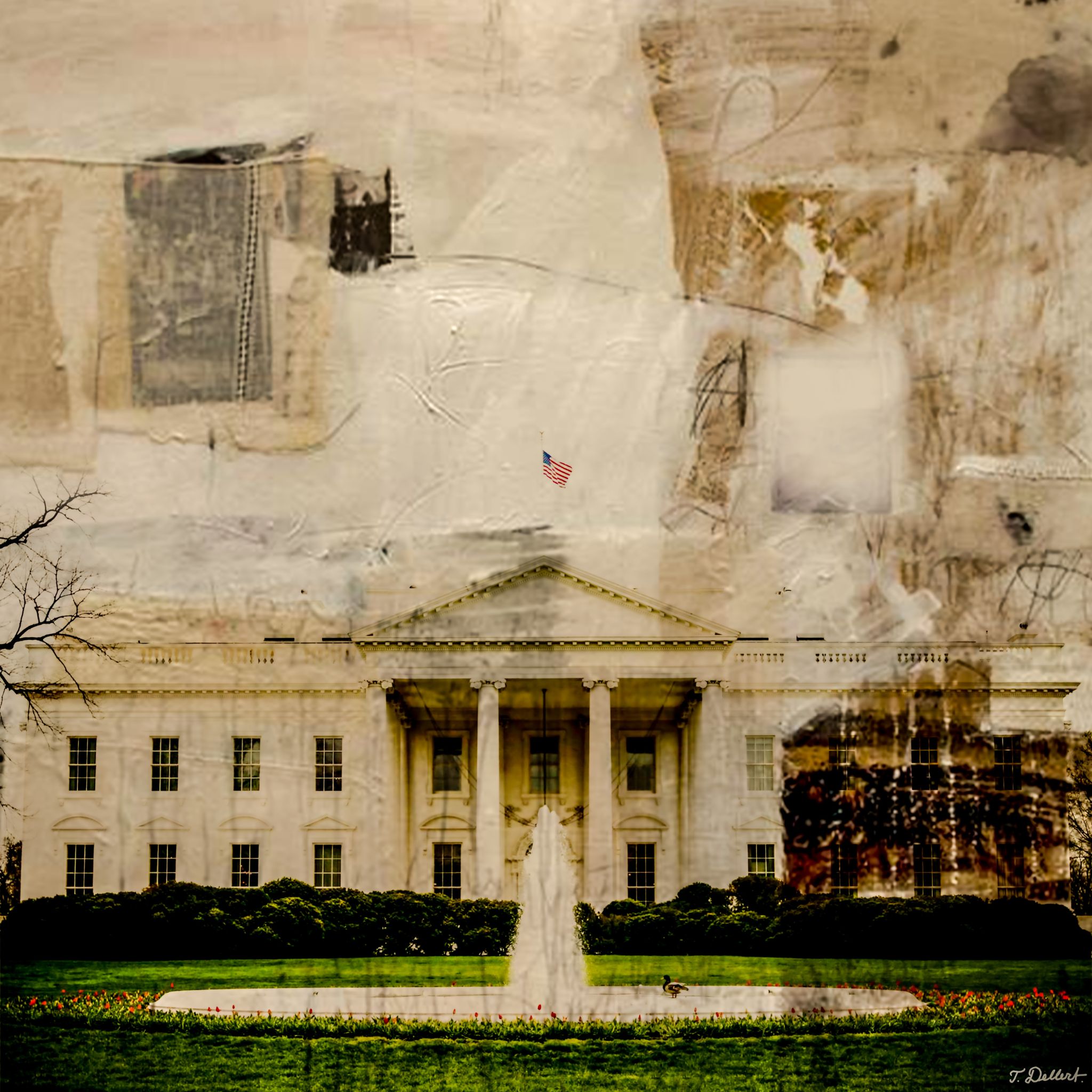 The White House
